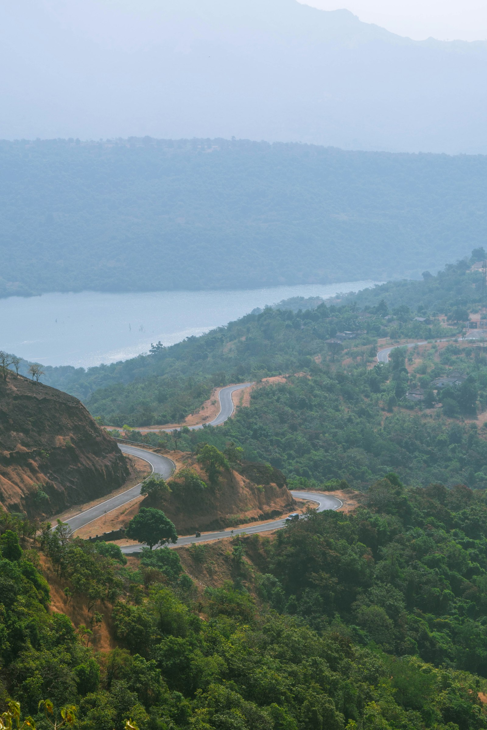 Winding coffee estate road in Coorg at dusk