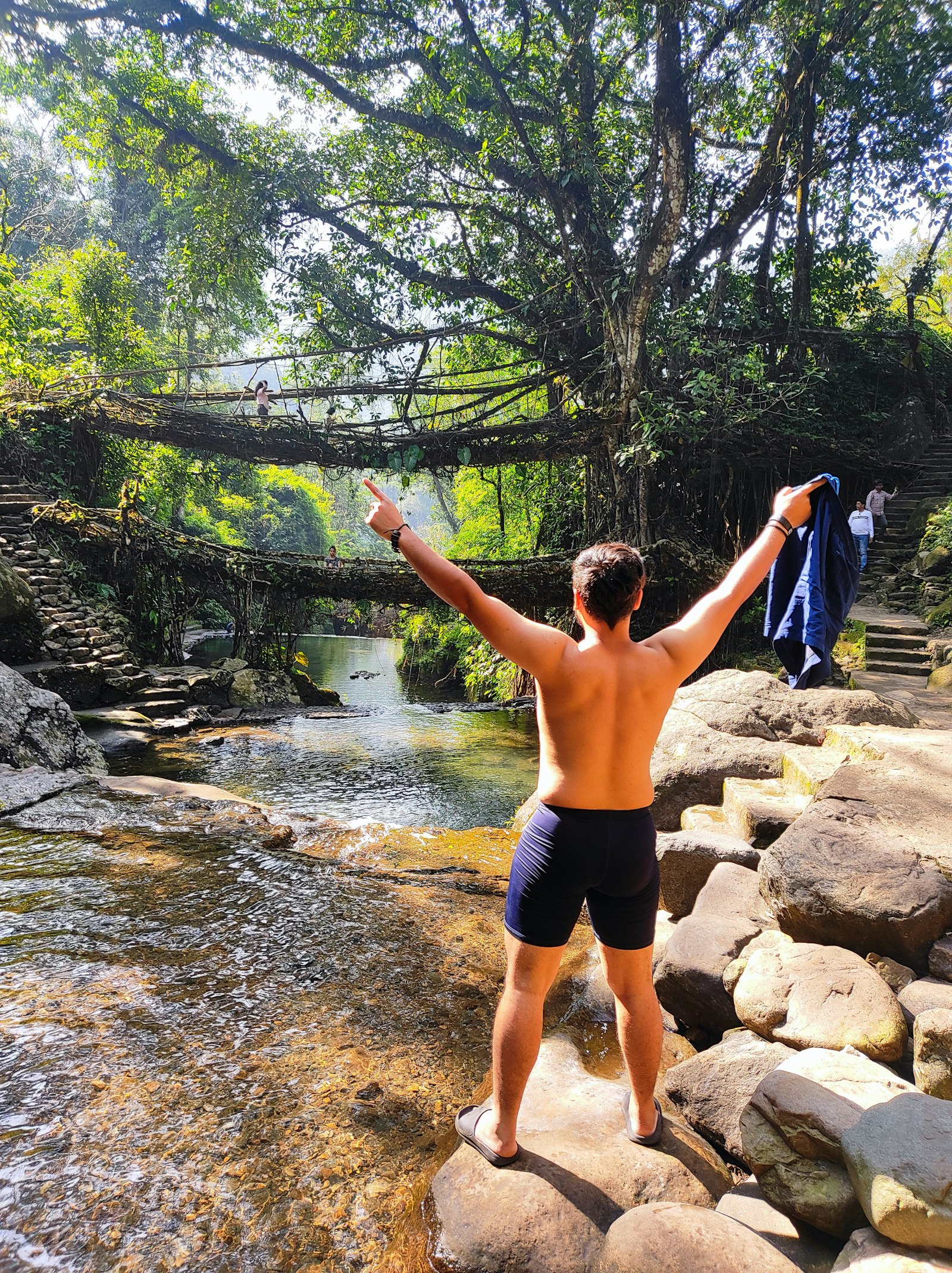 Living Root Bridge Trail in Meghalaya's monsoon forest