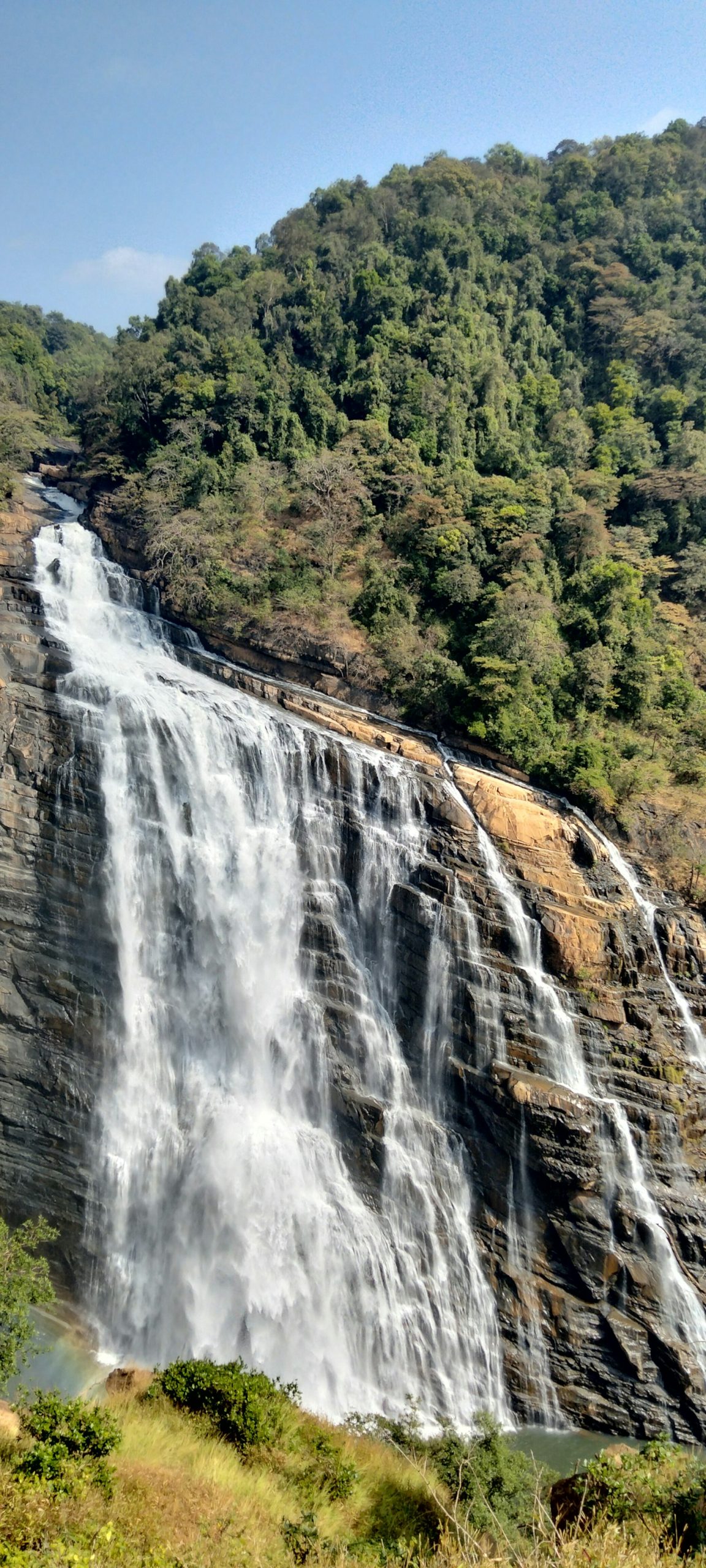 Forest trailhead in the Western Ghats during monsoon